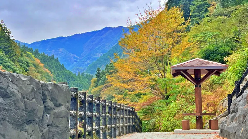 徳島県祖谷 紅葉ドライブ 高齢の母と秋を楽しめるスポット 小便小僧 ひの字渓谷 かずら橋