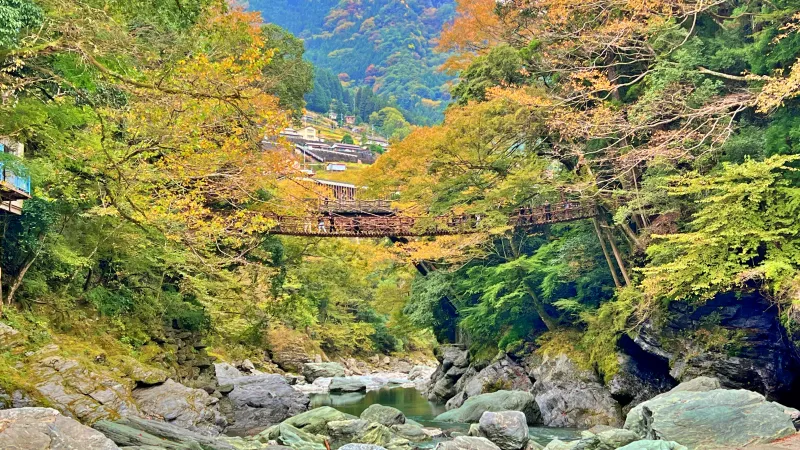 徳島県祖谷 紅葉ドライブ 高齢の母と秋を楽しめるスポット 小便小僧 ひの字渓谷 かずら橋