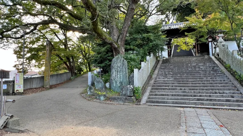 松山城へ紅葉を見ながら徒歩で行く 二之丸庭園ではライトアップもありました。