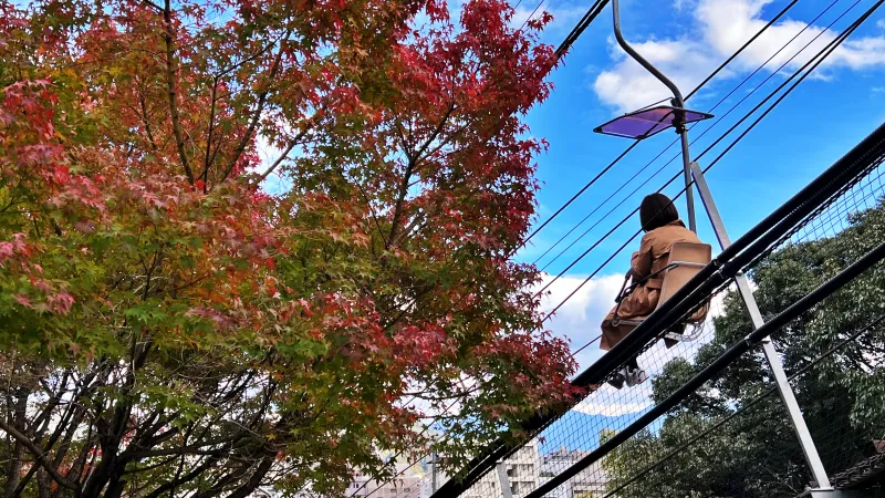 松山城へ紅葉を見ながら徒歩で行く 二之丸庭園ではライトアップもありました。