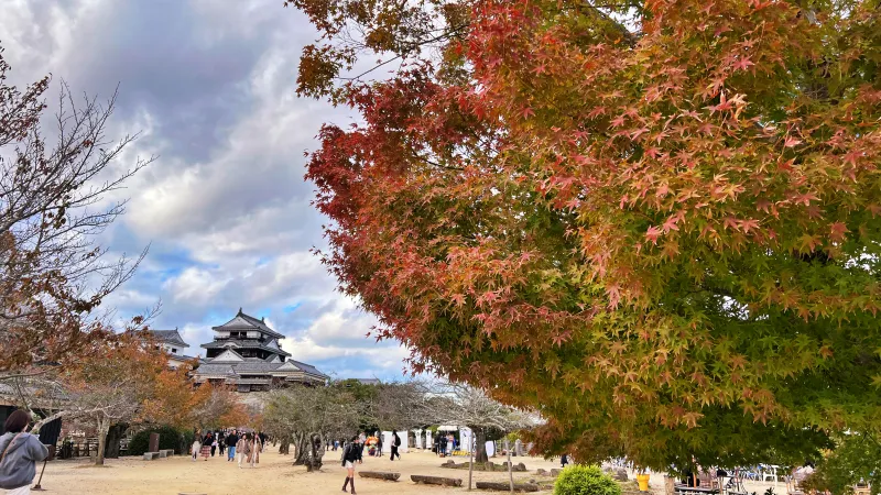 松山城へ紅葉を見ながら徒歩で行く 二之丸庭園ではライトアップもありました。