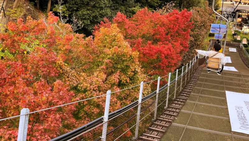 松山城へ紅葉を見ながら徒歩で行く 二之丸庭園ではライトアップもありました。