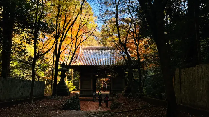 令和8年 (午)うま年 干支の切り絵を求め紅葉の西山興隆寺へ 高野山伝統「吉祥宝来」