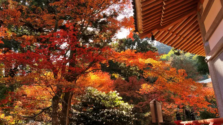 令和8年 (午)うま年 干支の切り絵を求め紅葉の西山興隆寺へ 高野山伝統「吉祥宝来」