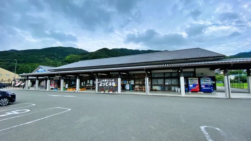 道の駅 ひなの里かつうら 広い駐車場で車中泊 直売所が充実 おひな様でも有名