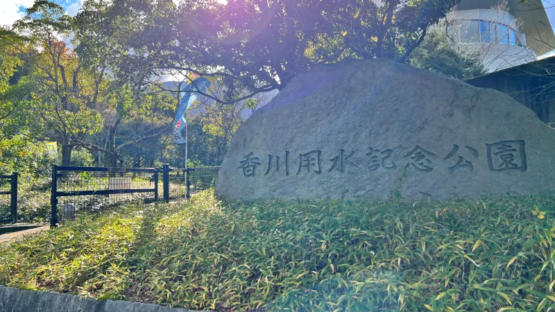 絶景紅葉スポット 香川用水記念公園 高齢者も歩きやすくてオススメ