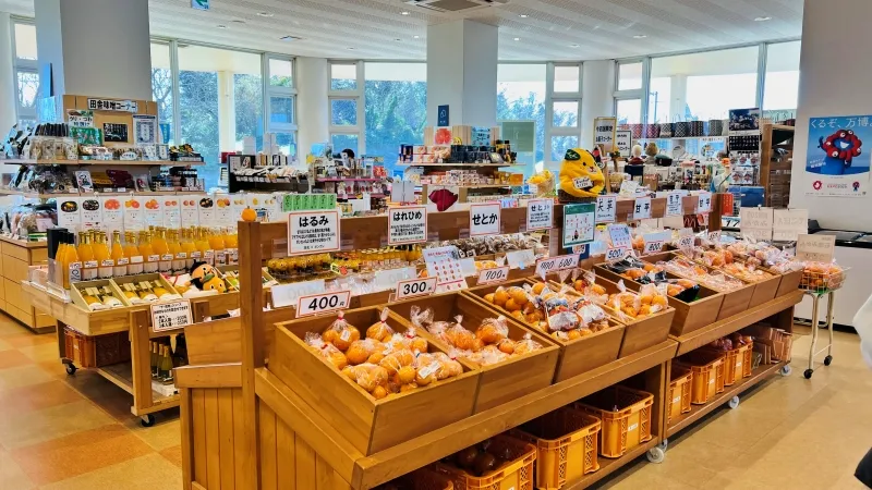 道の駅 伊方きらら館 名産のみかんが豊富 展望台からの景色と佐田岬半島