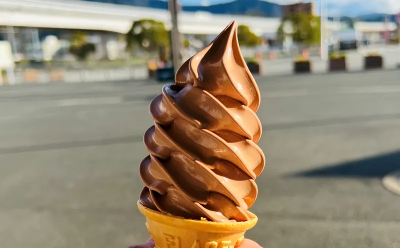 道の駅 きさいや広場 ロイズが大人気 レストランのご飯、じゃこ天も絶品