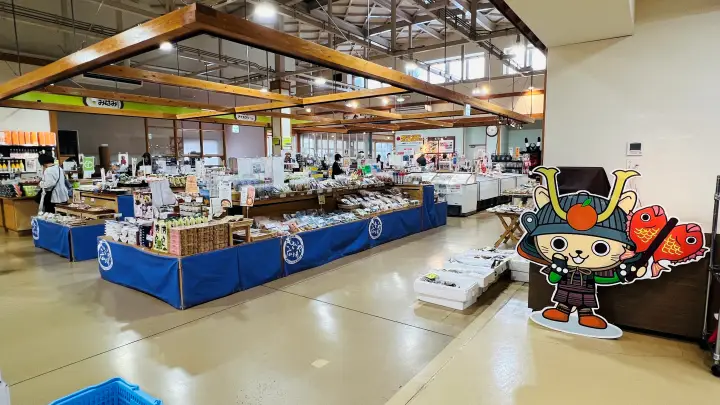 【宇和島】道の駅きさいや広場 ロイズ直営店やソフトクリーム フードコートで海鮮丼・鯛めし・じゃこ天を堪能 車中泊できる？