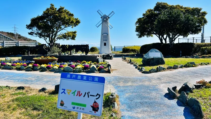 道の駅佐田岬半島ミュージアム ドライブの休憩スポット 新しくなって見どころ満載