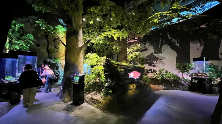 足摺海洋館SATOUMI 原生林 川魚展示エリア