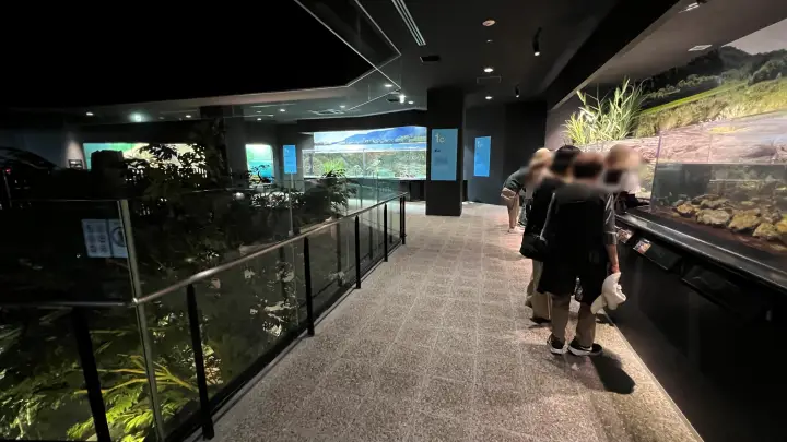 足摺海洋館SATOUMI 原生林 川魚展示エリア