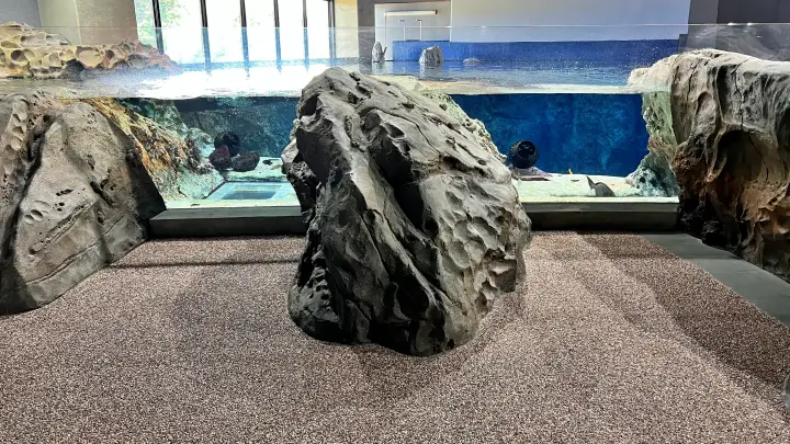 足摺海洋館SATOUMI 竜串湾大水槽は子供も楽しめる