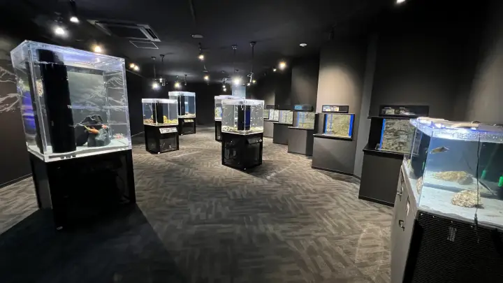足摺海洋館SATOUMI 施設内の展示とバリアフリーのフロア