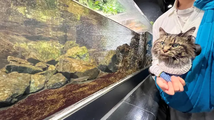足摺海洋館SATOUMI ペットと同伴できる水族館