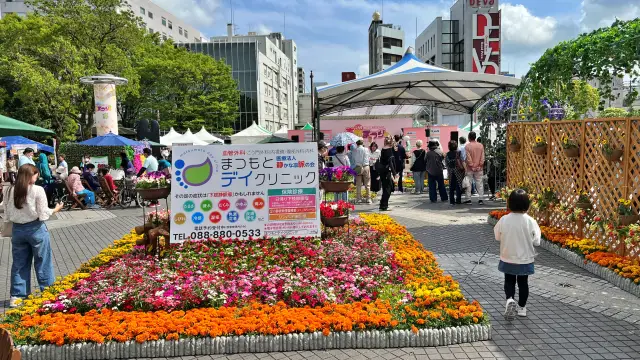 高知市中心街を散策したGW ひろめ市場 高知城 春花まつり 風工房イチゴアイス