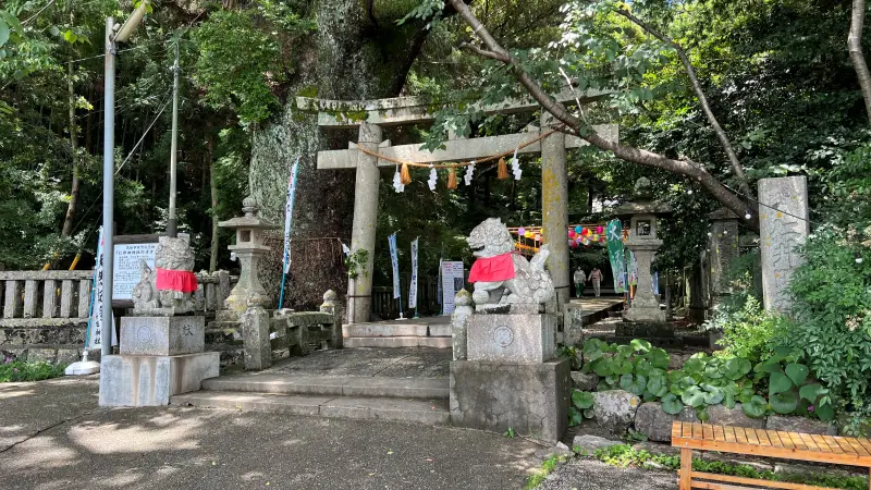 傘 おみくじ 梅雨の仁井田神社で運を開こう 風車や風鈴が並ぶ廻廊