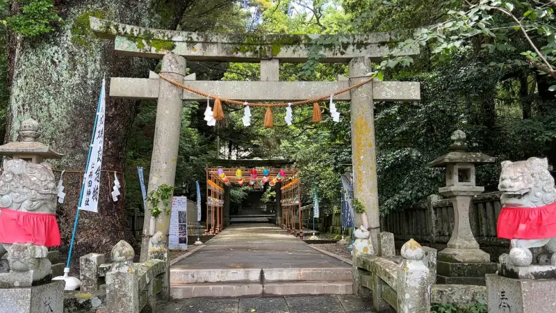 傘 おみくじ 梅雨の仁井田神社で運を開こう 風車や風鈴が並ぶ廻廊