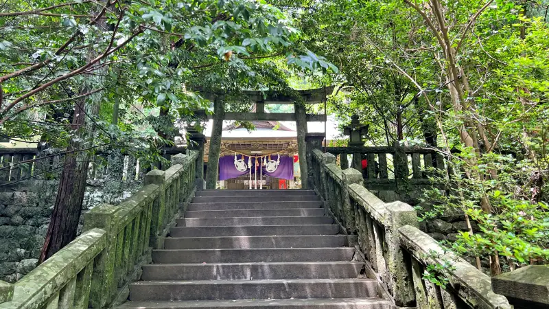 傘 おみくじ 梅雨の仁井田神社で運を開こう 風車や風鈴が並ぶ廻廊