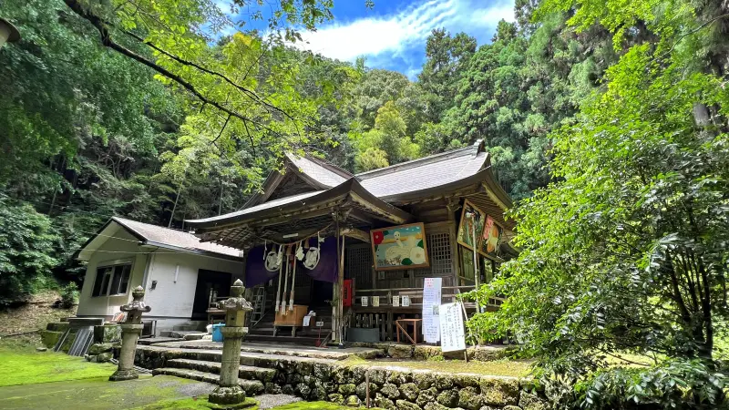 傘 おみくじ 梅雨の仁井田神社で運を開こう 風車や風鈴が並ぶ廻廊