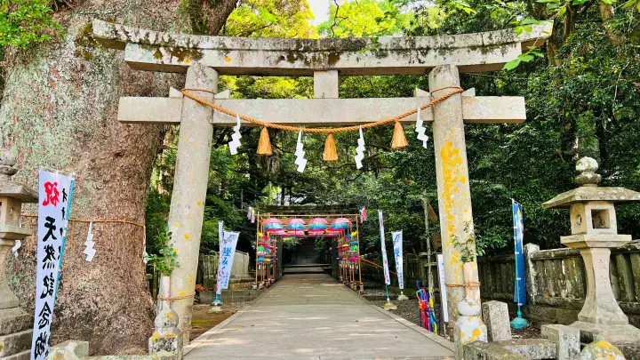 高知市「仁井田神社」完全ガイド｜廻廊と傘みくじが美しいパワースポット【駐車場・見どころ・所要時間】
