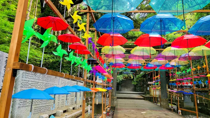 高知市「仁井田神社」完全ガイド｜廻廊と傘みくじが美しいパワースポット【駐車場・見どころ・所要時間】