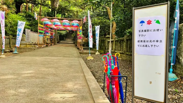 高知市「仁井田神社」完全ガイド｜廻廊と傘みくじが美しいパワースポット【駐車場・見どころ・所要時間】
