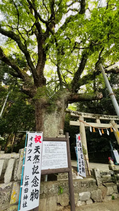 高知市「仁井田神社」完全ガイド｜廻廊と傘みくじが美しいパワースポット【駐車場・見どころ・所要時間】