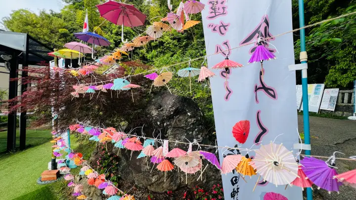 高知市「仁井田神社」完全ガイド｜廻廊と傘みくじが美しいパワースポット【駐車場・見どころ・所要時間】