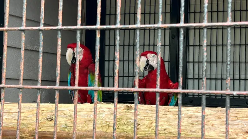 わんぱーくこうち 無料の動物園 遊具や滝で水遊び 家族みんなで楽しもう!