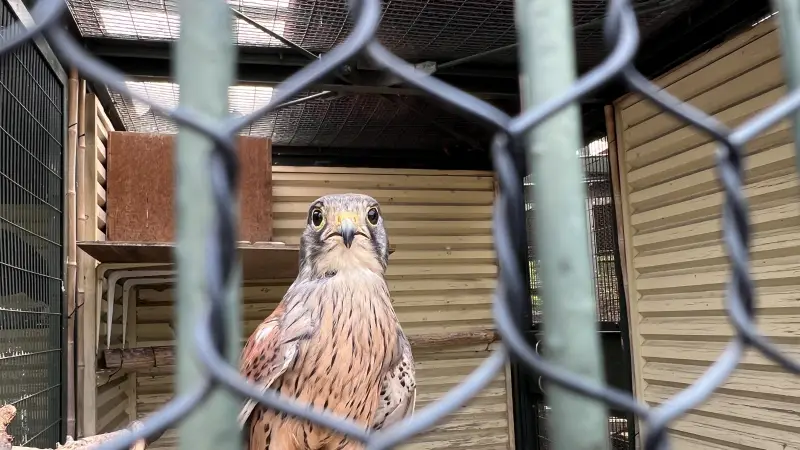 わんぱーくこうち 無料の動物園 遊具や滝で水遊び 家族みんなで楽しもう!