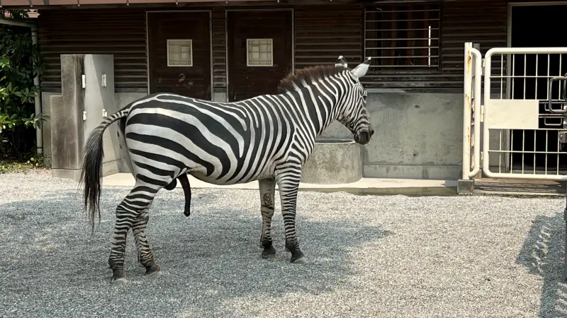 わんぱーくこうち 無料の動物園 遊具や滝で水遊び 家族みんなで楽しもう!