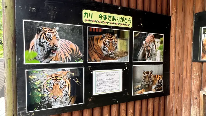 わんぱーくこうち 無料の動物園 遊具や滝で水遊び 家族みんなで楽しもう!