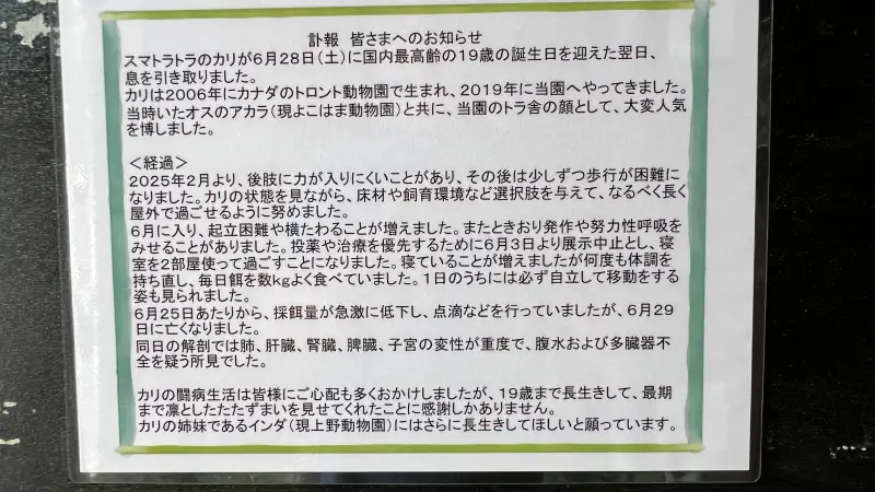 わんぱーくこうち 無料の動物園 遊具や滝で水遊び 家族みんなで楽しもう!