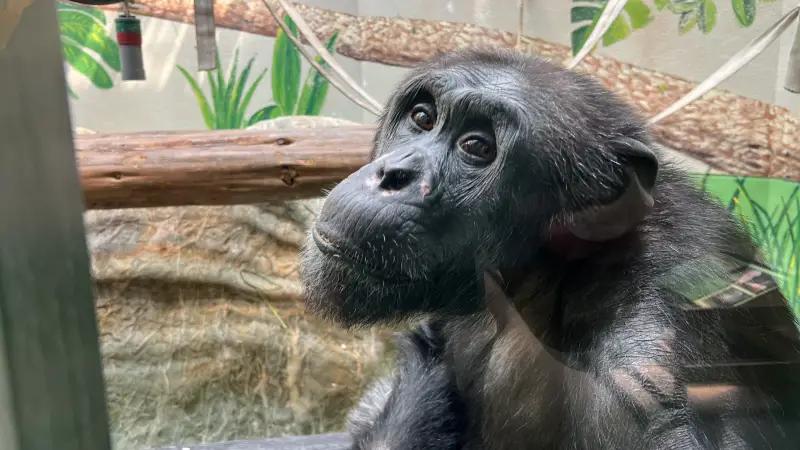 わんぱーくこうち 無料の動物園 遊具や滝で水遊び 家族みんなで楽しもう!
