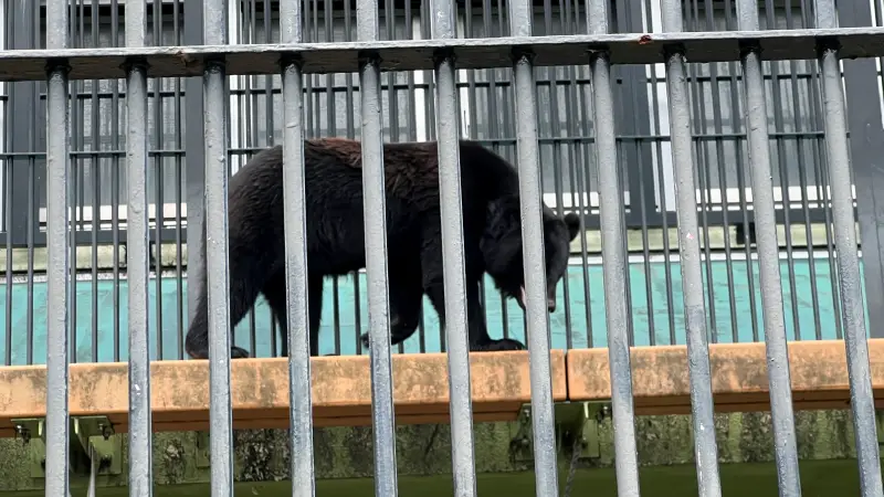 わんぱーくこうち 無料の動物園 遊具や滝で水遊び 家族みんなで楽しもう!