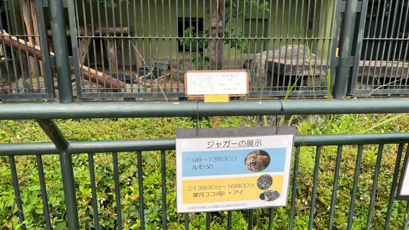 わんぱーくこうち 無料の動物園 遊具や滝で水遊び 家族みんなで楽しもう!