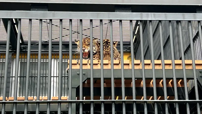 わんぱーくこうち 無料の動物園 遊具や滝で水遊び 家族みんなで楽しもう!