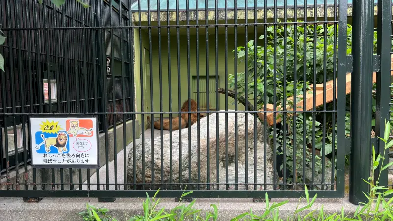わんぱーくこうち 無料の動物園 遊具や滝で水遊び 家族みんなで楽しもう!