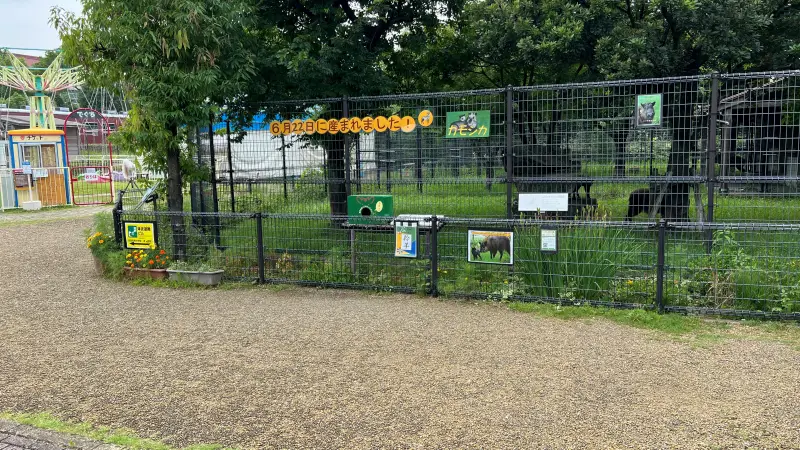 わんぱーくこうち 無料の動物園 遊具や滝で水遊び 家族みんなで楽しもう!
