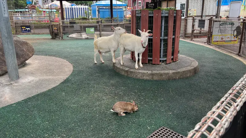 わんぱーくこうち 無料の動物園 遊具や滝で水遊び 家族みんなで楽しもう!