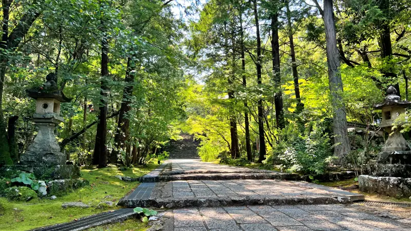 竹林寺 五台山にあるお寺で五重塔が有名 夏は風鈴 秋は紅葉と季節ごとに楽しめます。