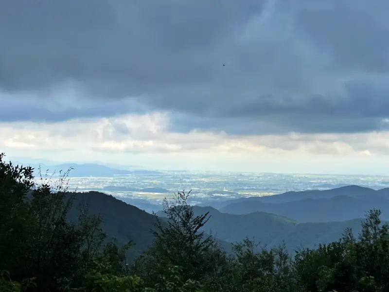 鳥居杉 日本でここだけ！？ 生きた鳥居はどこにある？ 高知の穴場パワースポット