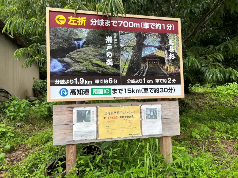 鳥居杉 日本でここだけ！？ 生きた鳥居はどこにある？ 高知の穴場パワースポット