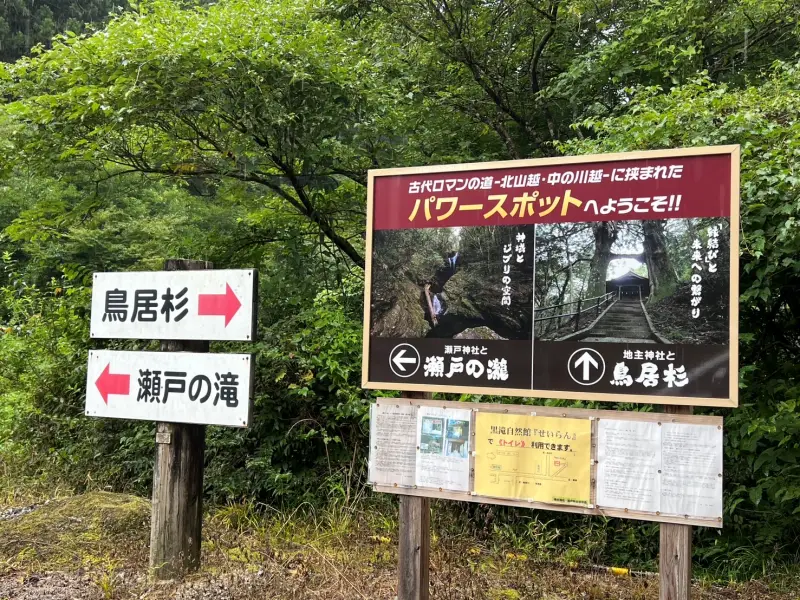 鳥居杉 日本でここだけ！？ 生きた鳥居はどこにある？ 高知の穴場パワースポット