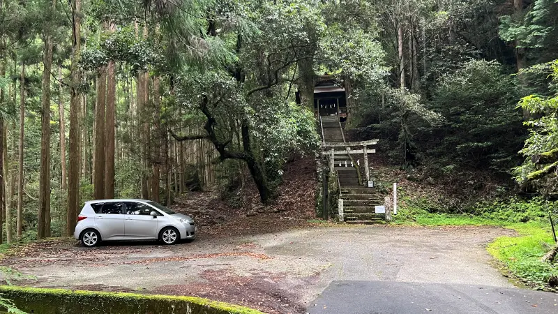 鳥居杉 日本でここだけ！？ 生きた鳥居はどこにある？ 高知の穴場パワースポット