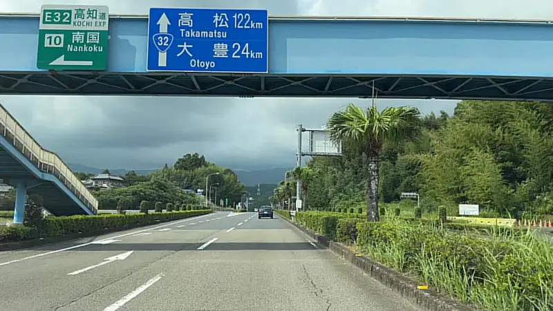 鳥居杉 日本でここだけ！？ 生きた鳥居はどこにある？ 高知の穴場パワースポット