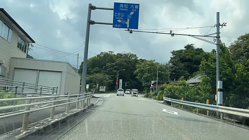 鳥居杉 日本でここだけ！？ 生きた鳥居はどこにある？ 高知の穴場パワースポット