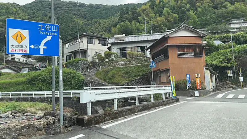 鳥居杉 日本でここだけ！？ 生きた鳥居はどこにある？ 高知の穴場パワースポット