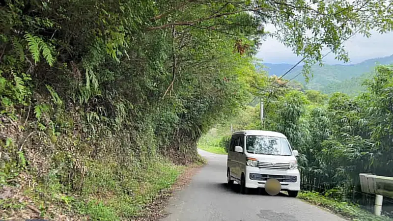 鳥居杉 日本でここだけ！？ 生きた鳥居はどこにある？ 高知の穴場パワースポット